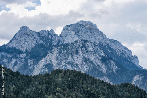 Wallpaper Mural A great view of the high Alps mountains wth green forest under blue cloudy sky. Torontodigital.ca