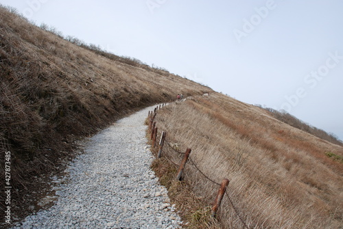 Платно Road Amidst Agricultural Field Against Clear Sky