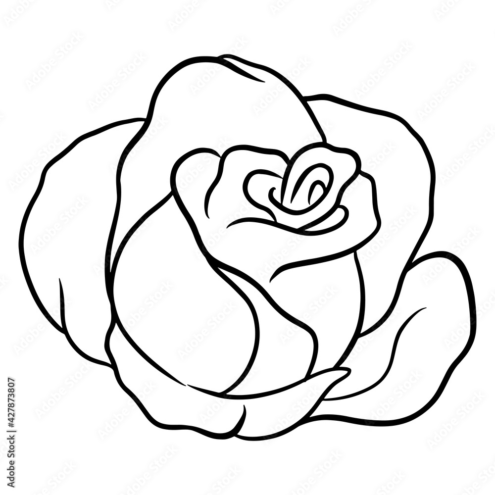Obraz premium Hand-drawn roses. Beautiful flower. Cartoon style. Vector illustration.