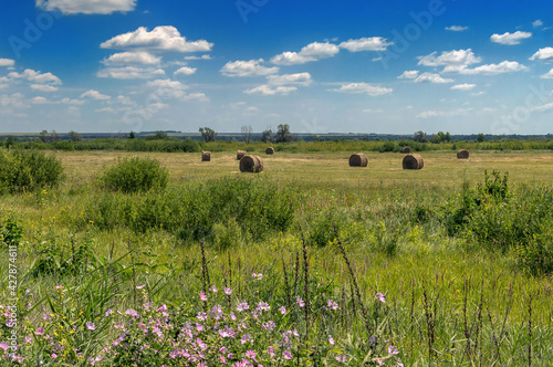 green field in summer after haymaking, hay rolls