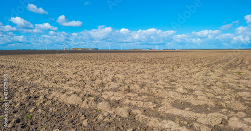 Furrows in an agricultural field in a rural area below a blue bright cloudy sky in spring, Almere, Flevoland, The Netherlands, April 13, 2021