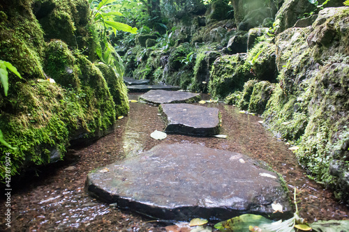 Peaceful pathway in a calm river stone walkway photo