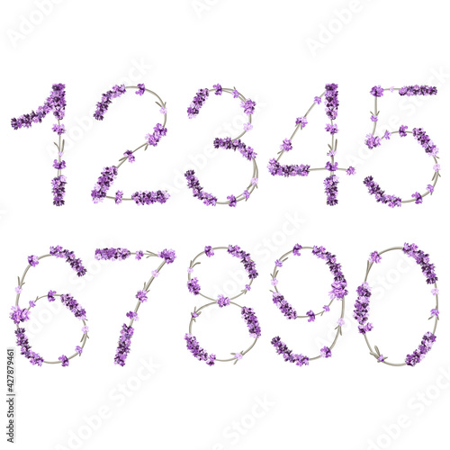 vector images of numbers in the form of lavender sprigs in bright purple colors