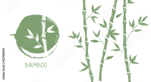 Bamboo tree. Hand drawn style. Vector illustrations.	
