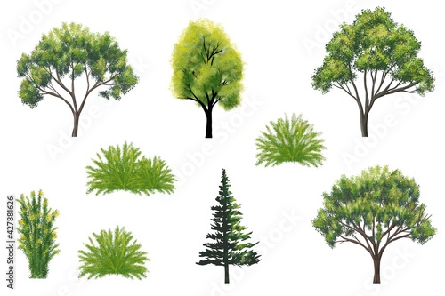 Collection of abstract watercolor tree side view isolated on white background  for landscape and architecture layout drawing  elements for environment and garden  grass illustration