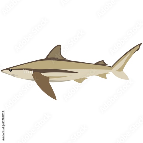 Vector bronze whale shark illustration isolated on white
