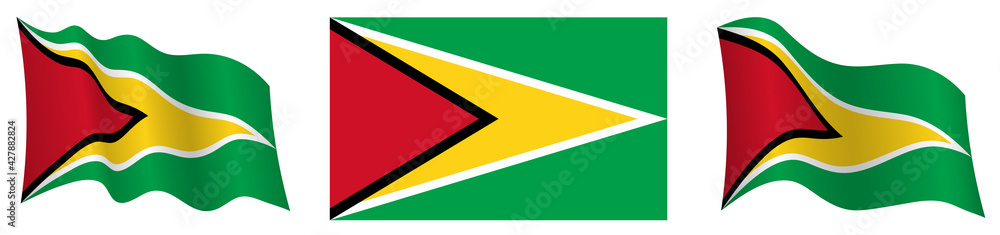 flag of Guyana in static position and in motion, fluttering in wind in exact colors and sizes, on white background flag of Guyana in static position and in motion, fluttering in wind in exact colors and sizes, on white background