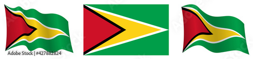 Free Download flag of Guyana in static position and in motion, fluttering in wind in exact colors and sizes, on white background - GFXLoad