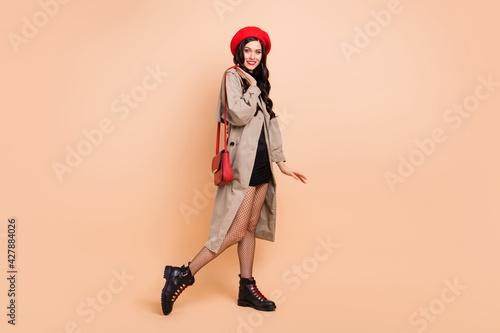 Full length photo portrait of charming girl with clutch bag isolated on pastel beige colored background