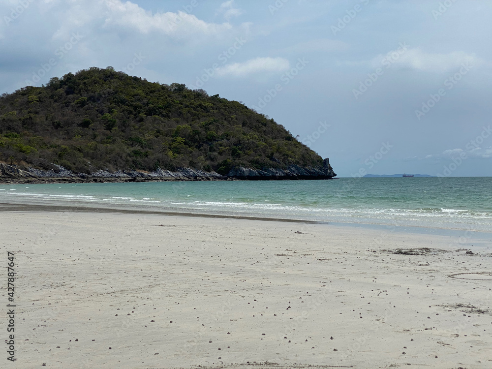 Obraz premium beach with trees