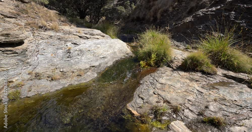 stream of water on the mountain stream of water on the mountain