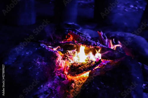 barbecue in the fire