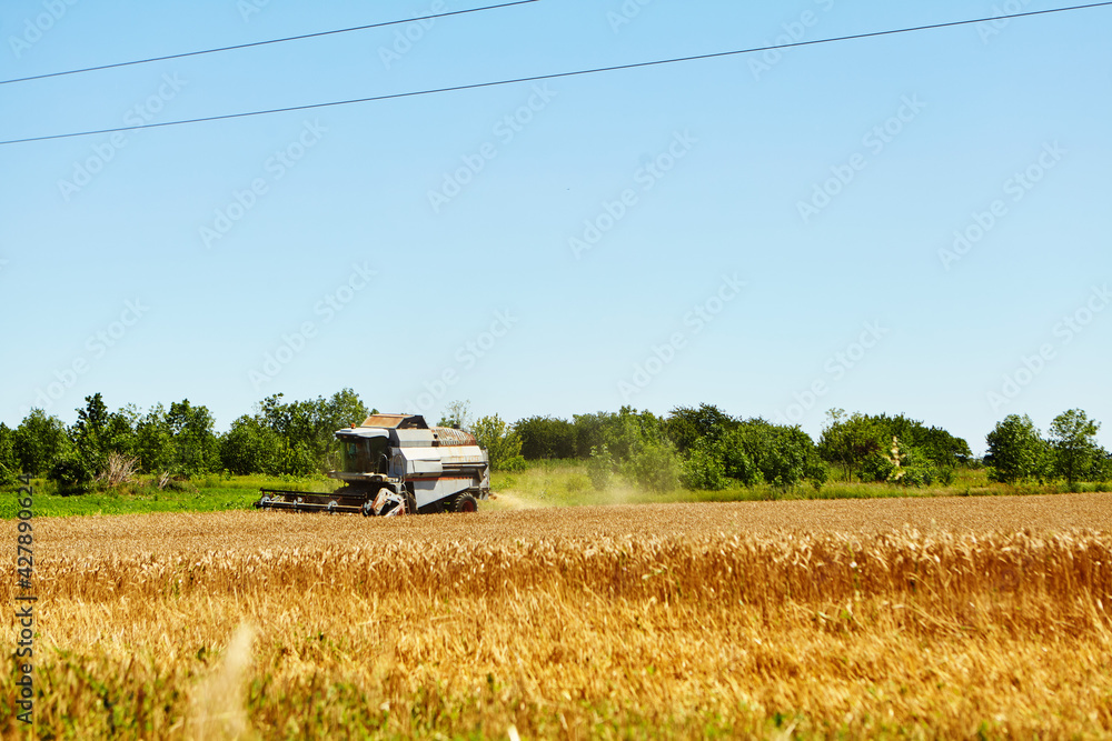 Combine harvester in action on wheat field. Process of gathering a ripe crop. Combine harvester in action on wheat field. Process of gathering a ripe crop.