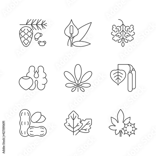 Allergens and allergy causes linear icons set. Cedar, pine tree pollen. Peace lily. Tree nuts, peanut. Customizable thin line contour symbols. Isolated vector outline illustrations. Editable stroke