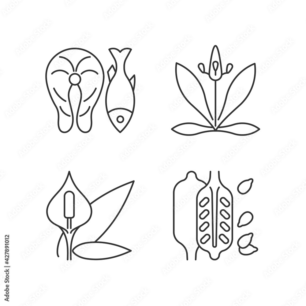 Common allergens linear icons set. Fish as cause for allergy. English plantain. Peace lily. Sesame seeds. Customizable thin line contour symbols. Isolated vector outline illustrations. Editable stroke Common allergens linear icons set. Fish as cause for allergy. English plantain. Peace lily. Sesame seeds. Customizable thin line contour symbols. Isolated vector outline illustrations. Editable stroke