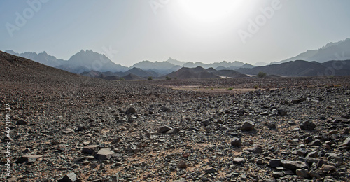 Принти на полотні Barren rocky desert landscape in hot climate