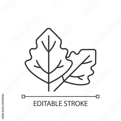 Lambs quarters linear icon. Goosefoot leaves. Wildflower allergen. Allergy for plant. Thin line customizable illustration. Contour symbol. Vector isolated outline drawing. Editable stroke