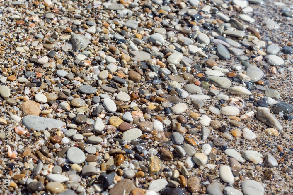 Top view of round flat colorful pebbles, sand and seashells, wet by sea waves. Natural marine pattern, half part of the frame blurred under water. Fresh summer holiday inspiration, relaxation mood. Top view of round flat colorful pebbles, sand and seashells, wet by sea waves. Natural marine pattern, half part of the frame blurred under water. Fresh summer holiday inspiration, relaxation mood.