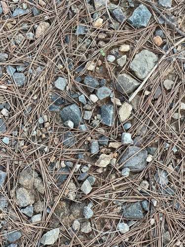 texture
