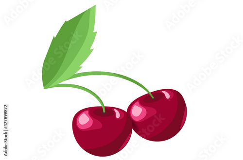 Two berries of a cherry on a branch with a leaf. White background. Isolated cherry. 