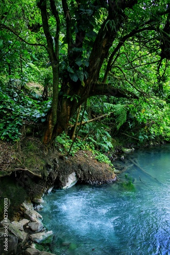 Rio Celeste dans le parc national Tenorio au Costa Rica