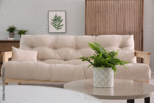 Beautiful potted fern on table in living room. Space for text