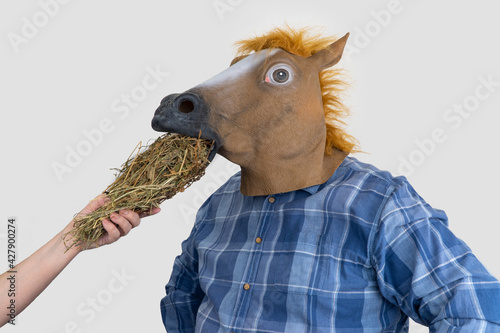 man in horse mask. woman feeds hay to a horse
