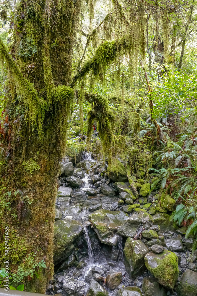 Obraz premium Around Lake Gunn