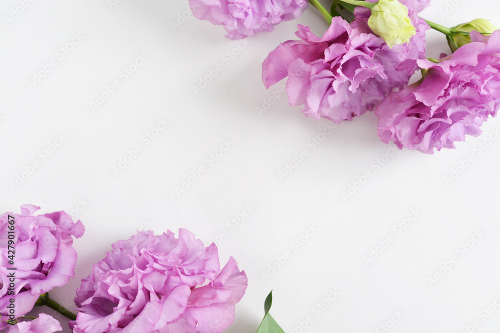薄紫のトルコキキョウの花 薄紫のトルコキキョウの花