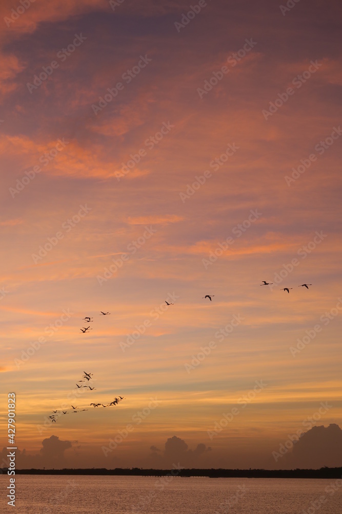 A group of flamingos flying in the sky with an orange colorful sunset, a flock of birds are migration to a warmer place on earth 