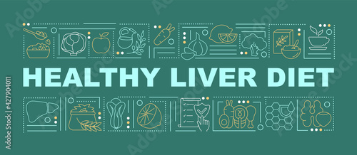 Healthy liver diet word concepts banner. Digestion functioning support. Health benefits. Infographics with linear icons on green background. Isolated typography. Vector outline RGB color illustration