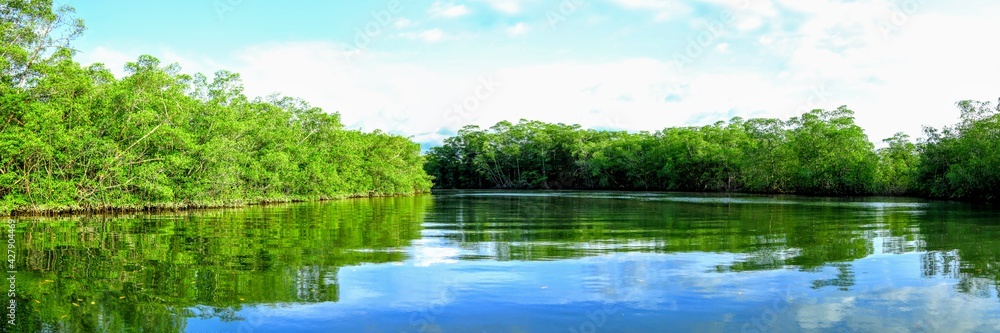 Sur la rivière Sierpe, péninsule d'Osa dans le Sud du Costa Rica