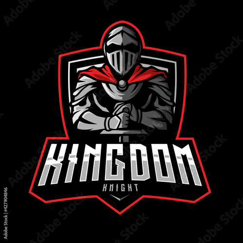 Iron Knight esports logo design. A knight holding a sword stuck in the ground. Mascot design