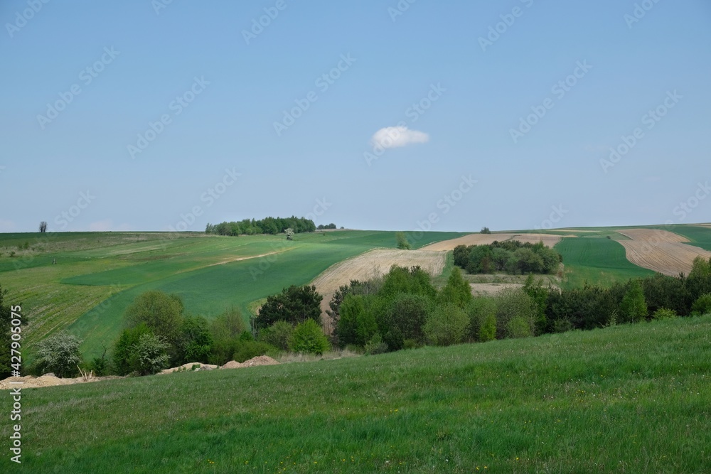 Fototapeta premium Beautiful fields in colorful stripes and rows of green trees illuminated by the sun around Suloszowa, Jura region, Cracow-Czestochowa Upland, Poland