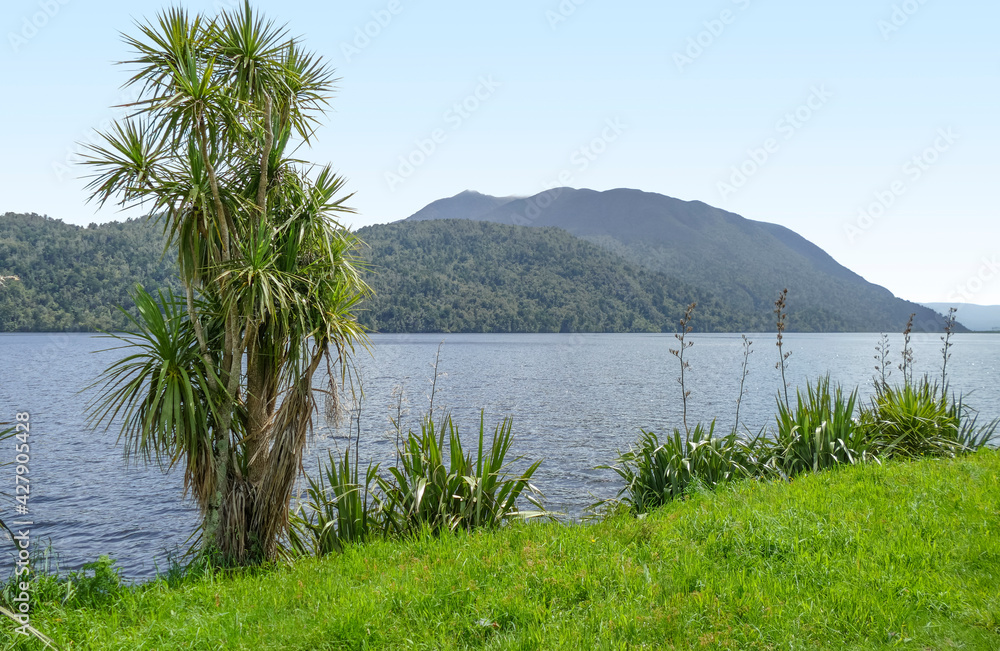 Lake Poerua in New Zealand