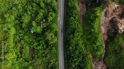 Scenic aerial view of a winding path in a forest