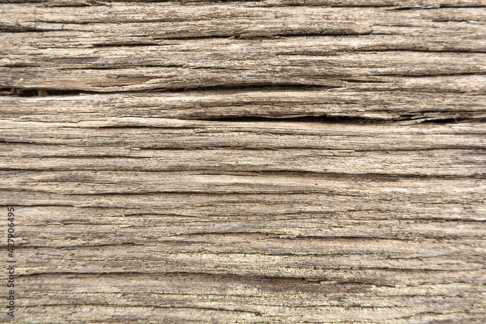 Wood grain texture pattern background structure oak wooden material natural surface dry hardwood tree wallpaper weathered abstract backdrop. Wood grain texture pattern background structure oak wooden material natural surface dry hardwood tree wallpaper weathered abstract backdrop.
