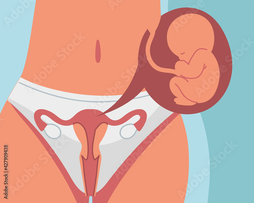 baby on womb