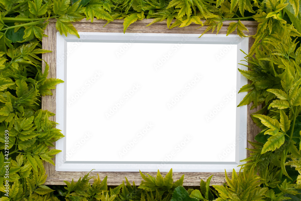 A real wooden frame covered with plants and leaves A real wooden frame covered with plants and leaves