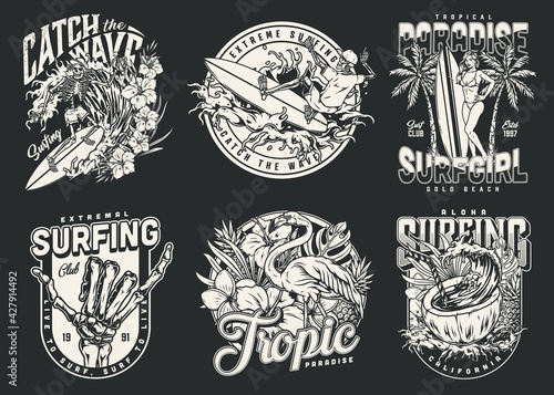 Hawaii surfing vintage monochrome emblems