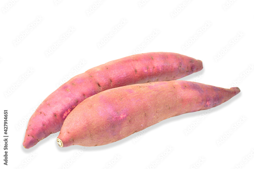 Japan Sweet Potato isolated on white background Japan Sweet Potato isolated on white background