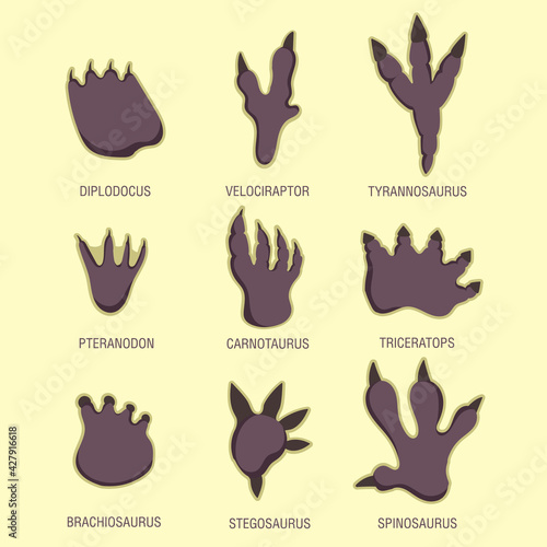 Educational set for children footprints of dinosaurs: tyrannosaurus, velociraptor, spinosaurus, carnotaurus, brachiosaurus, diplodocus, triceratops, stegosaurus, pteranodon. Vector illustration