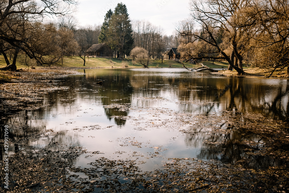 Fototapeta premium River among the trees in the spring or autumn season. Wildlife concept. Swamp in the forest. Wetlands are shrinking and threatened. The problem of ecology and drainage of rivers.