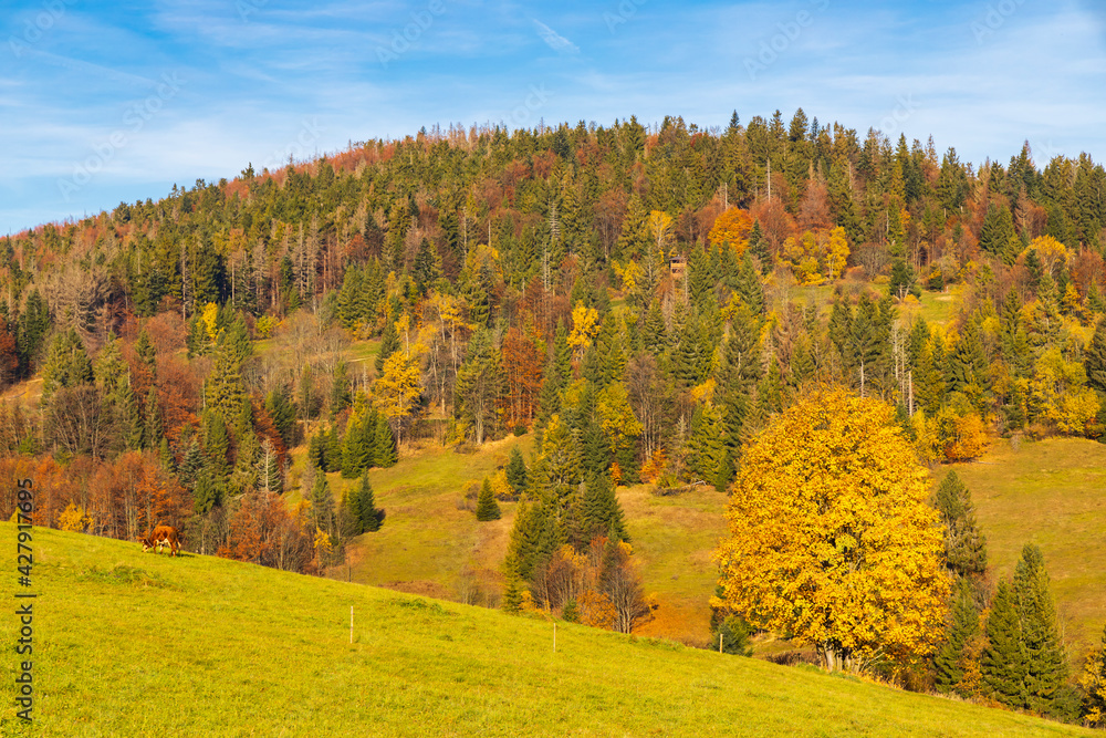 Naklejka premium autumn landscape near saddle Beskyd in Slovakia