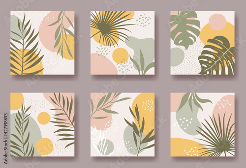 Set of six vector square backgrounds with abstract ornament and plants