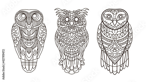 Owls birds Adult coloring book page . Beautiful art for anti stress colouring . Vector illustration for art therapy, tattoo, for design element,
poster.