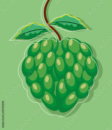 tropical custard apple