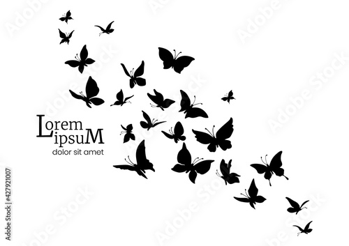 Decorative flock of butterflies. Logo design template. silhouettes of flying butterflies.