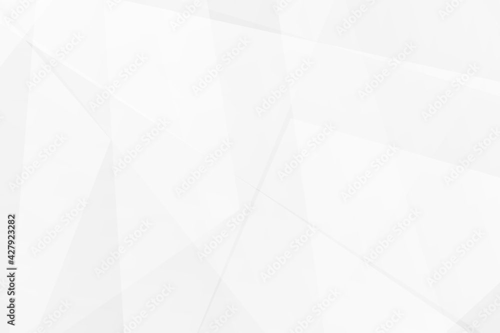 Fototapeta premium Abstract white and grey on light silver background modern design. Vector illustration EPS 10.