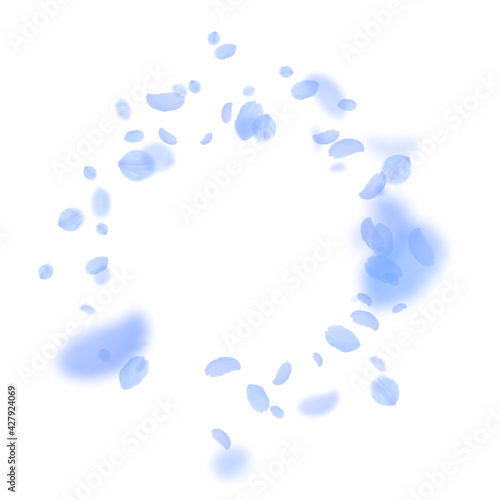 Dark blue flower petals falling down. Flawless rom
